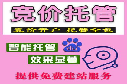 竞价推广SEM托管：打造爆款案例解析